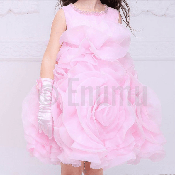 Elegant Rose Baby Girl / Toddler dress - Enumu