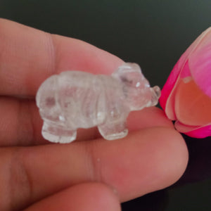 Carved Rock Crystal Rhinoceros - Enumu