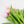 Load image into Gallery viewer, 10 Pcs Pink Tulips Artificial Flowers - Enumu
