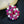 Load image into Gallery viewer, Pure 92.5 Sterling Silver Ruby &amp; CZ Pendant with Chain - Enumu
