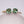 Load image into Gallery viewer, Light Green Hoop Earrings - Enumu
