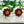 Load image into Gallery viewer, Maroon Flower Double Side Studs - Enumu
