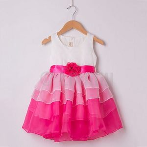 Bow knot with Rose Flower Pink Dress ( Ages 2 - 10) - Enumu